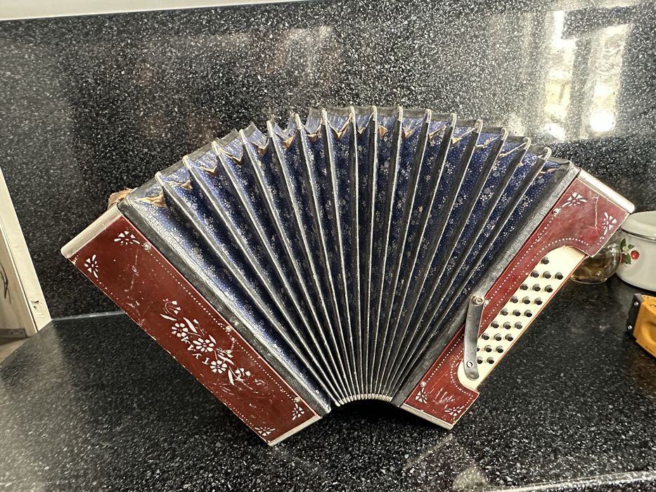 Гармошка гармонь тула