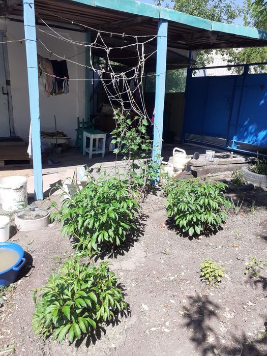 Продаю дачу на Черемушках