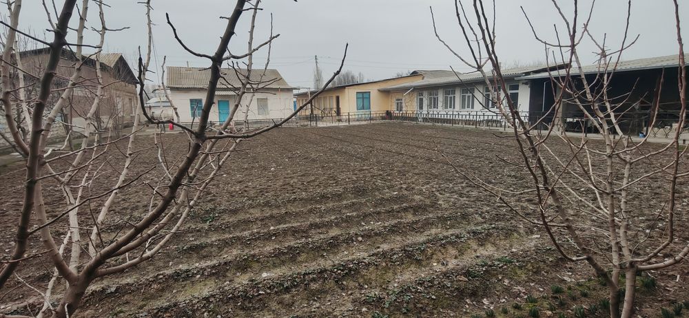 Xovli sotildi 14 sotix