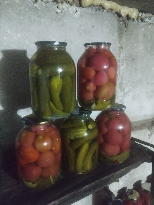 Продам огурцы помидоры