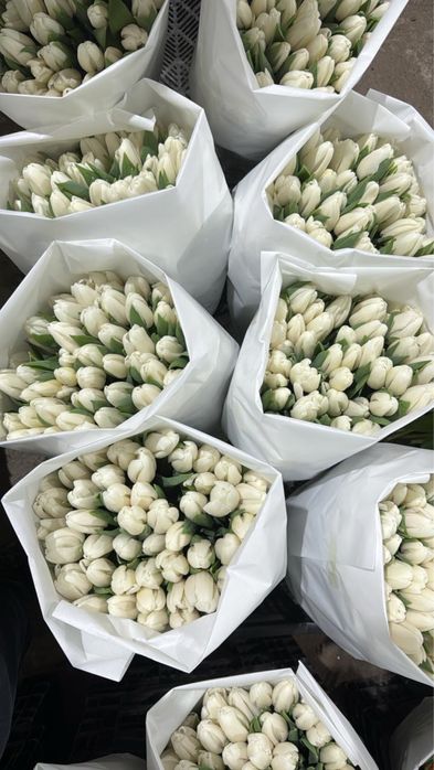 Тюльпаны оптом Алматы(область)