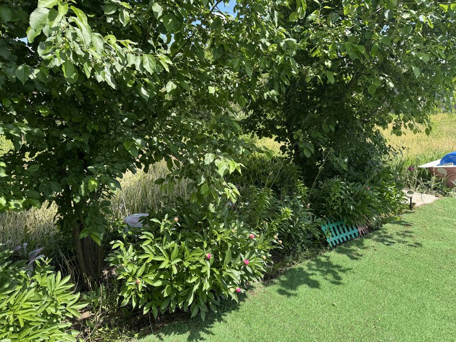 Продам дачу в отличном состоянии