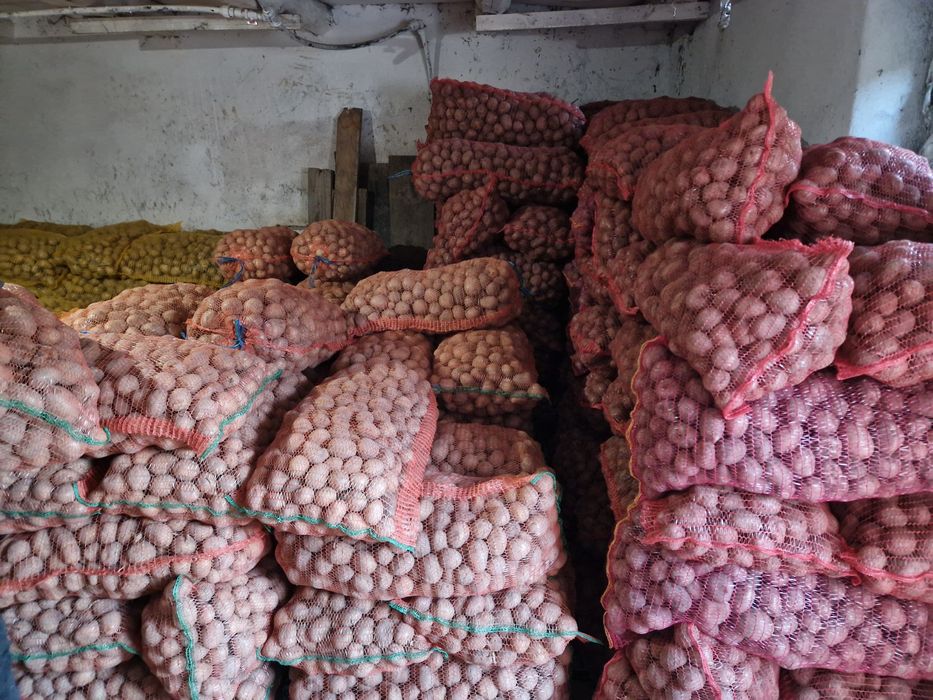 Cartof pentru samanta Bellarosa, Carrera