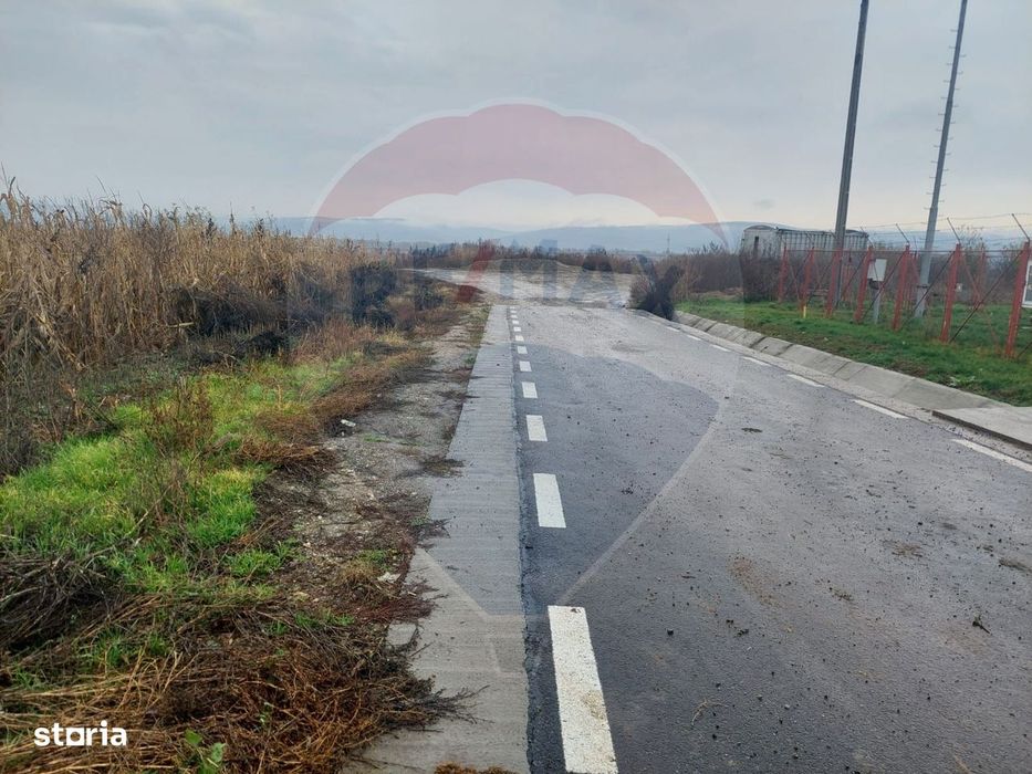 Teren intravilan de vanzare – Nicolae Balcescu, jud. Bacau