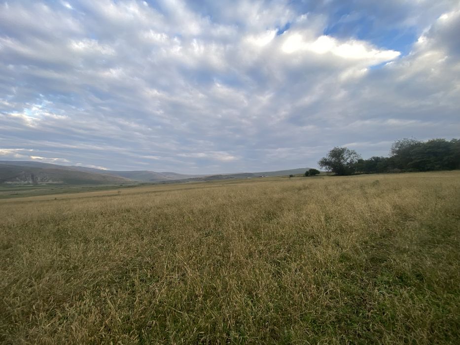 Vand teren cu cf intre Cojocna si Iuriu de Campie