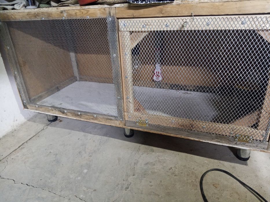 Брудер для цыплят