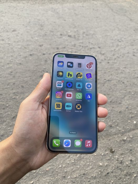 iphone 12 pro max 256gb