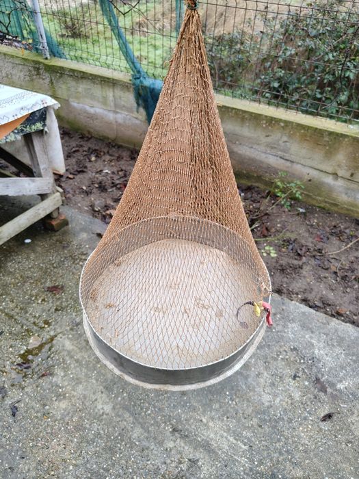 Ciur pitpalac  pasari