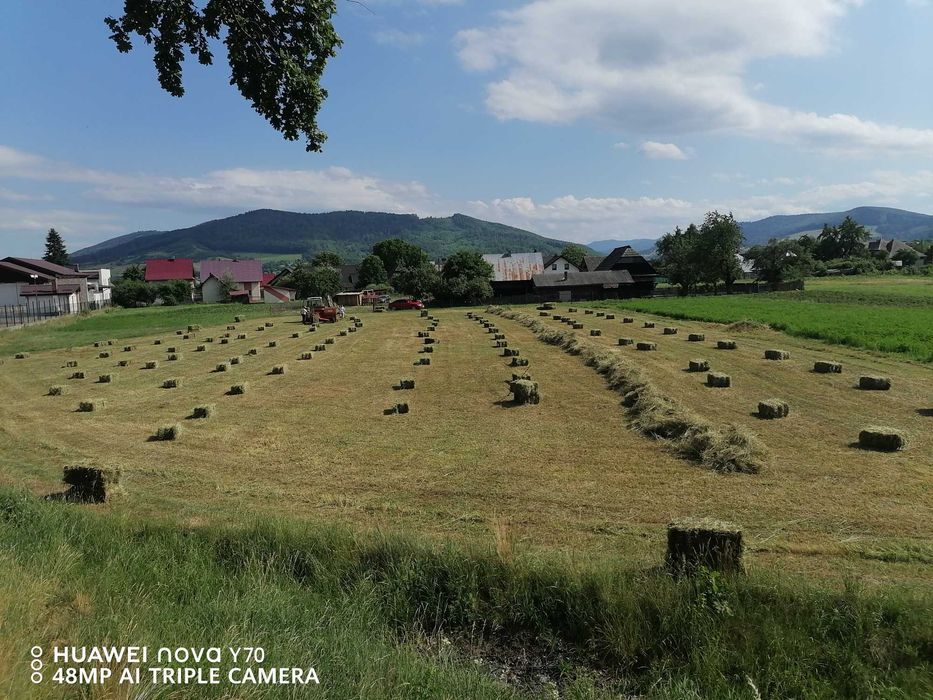Baloți otavã de vânzare