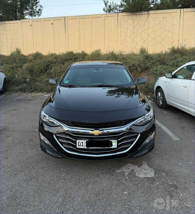Malibu 2 premier