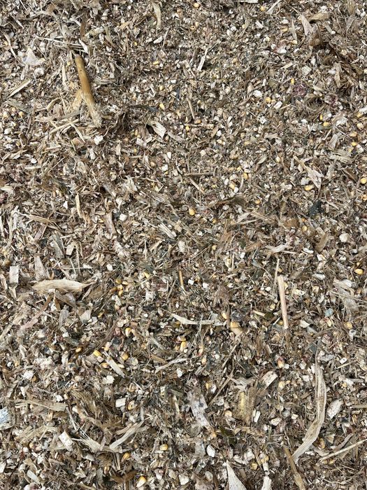 Porumb boabe  /siloz