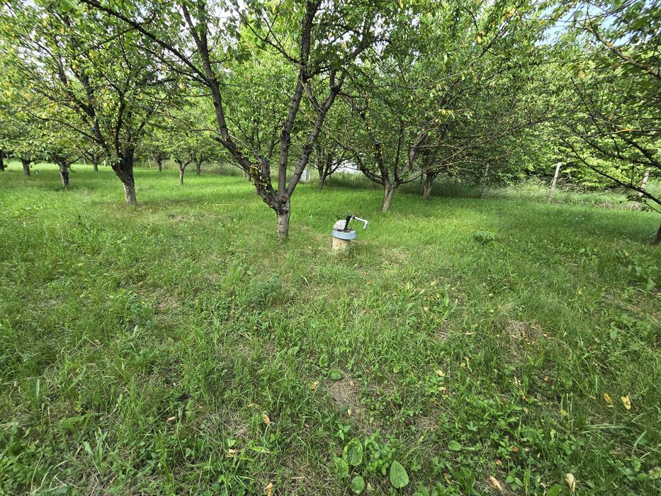 Продава се Парцел в Крън - 4000 кв.м за 19 €/кв.м - Снимка #3