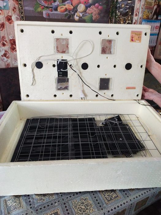 Продам инкубатор