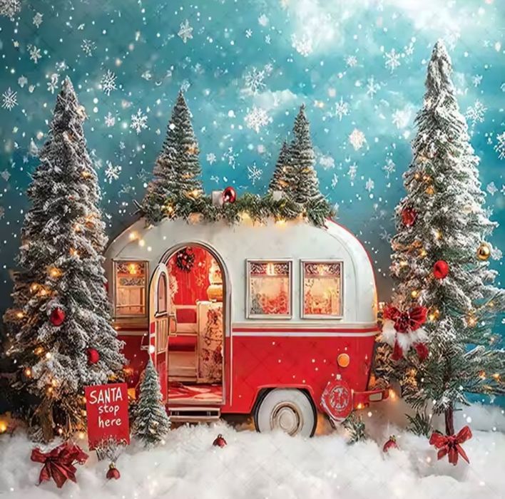 Panza Decor Crăciun