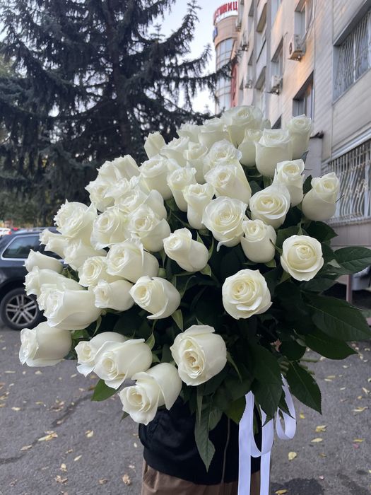 Розы высшего класса