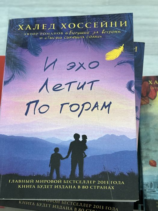Книги«и эхо летит по горам ; бегущий за ветром ; тысяча сияющих солнц»