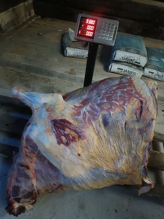 Ту сиыр сатылады