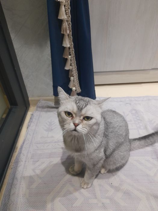 Chiroyli uyqichi erkak ...