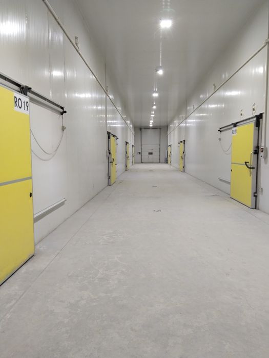 Ремонт промышленного холодильного оборудования