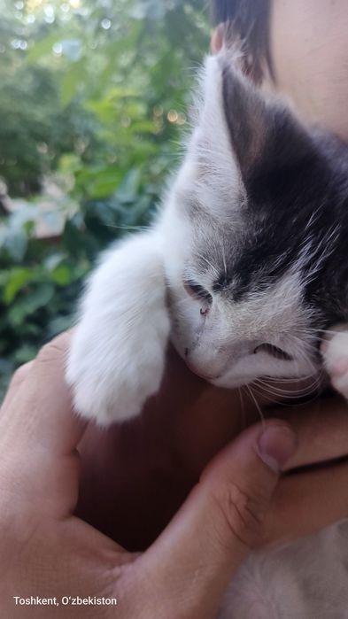 Zotor_mushuk tugatilgan