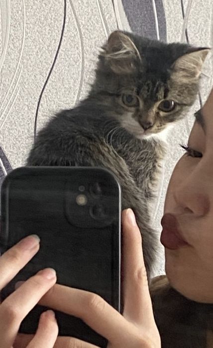 Отдадим в хорошие руки!