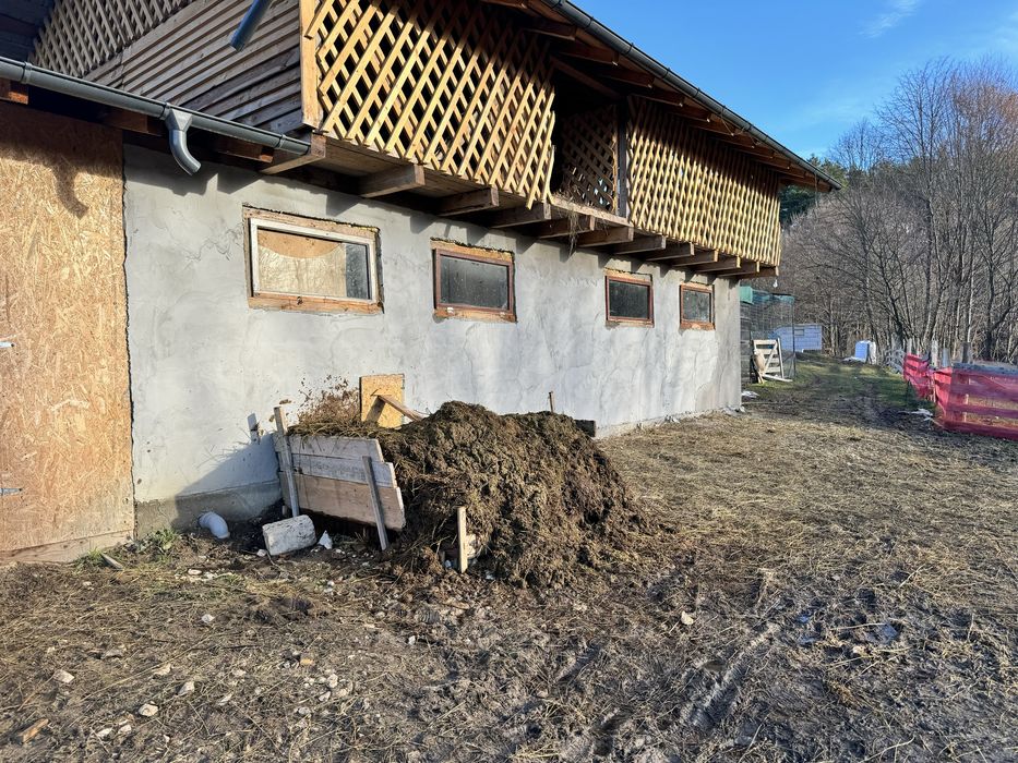 Vand ferma superba 2,5 ha teren cu 2 linii de business