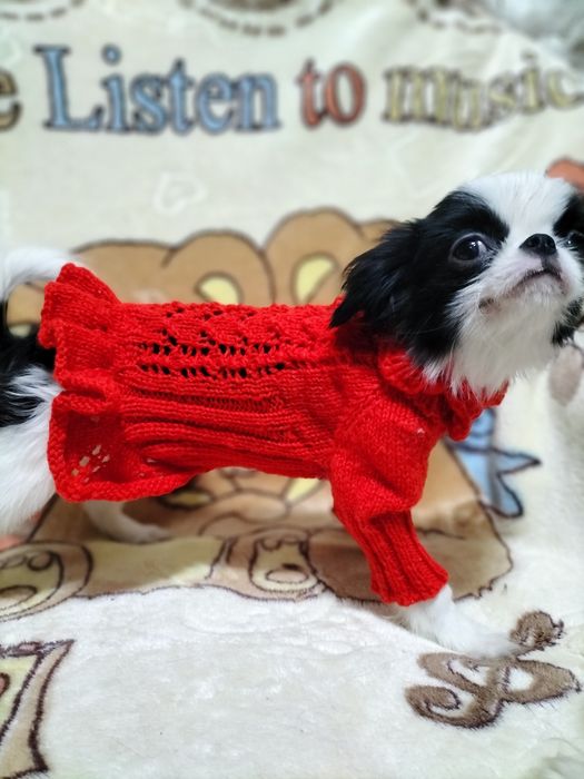 Вязанки для собак.