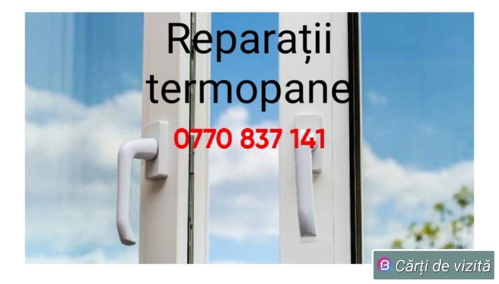 Plase insecte pentru ferestre și uși