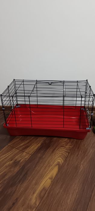 Când cușcă pentru rozătoare