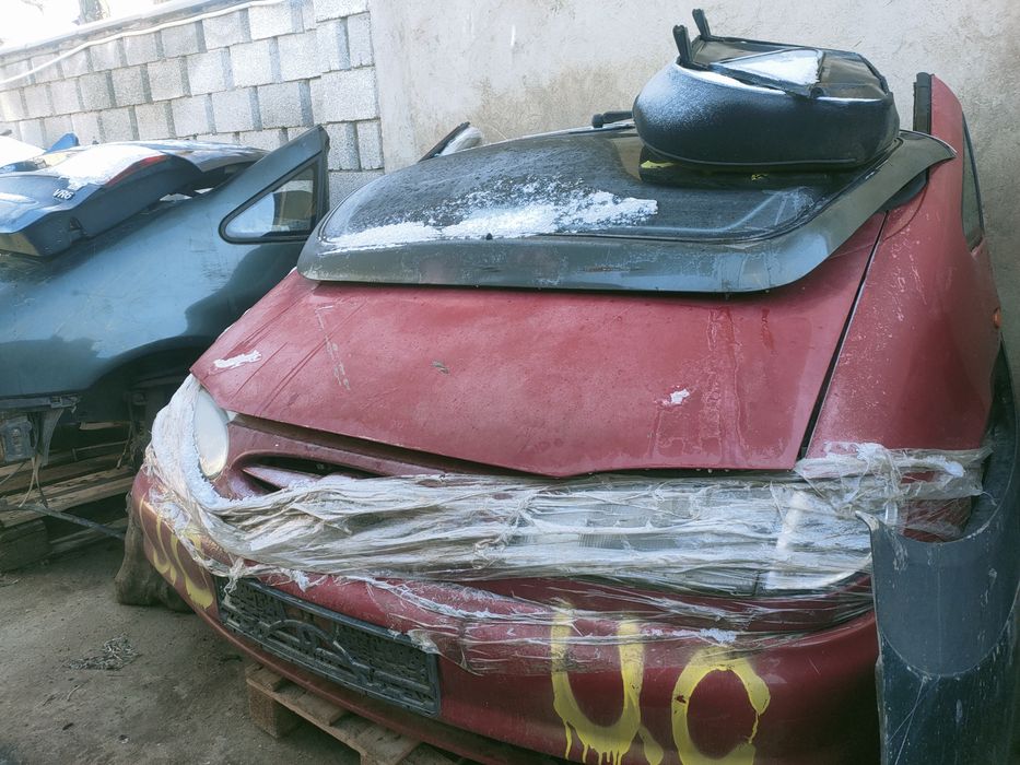 Ноускат Шаран Галакси