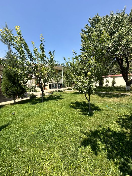 дача сотилади срочно