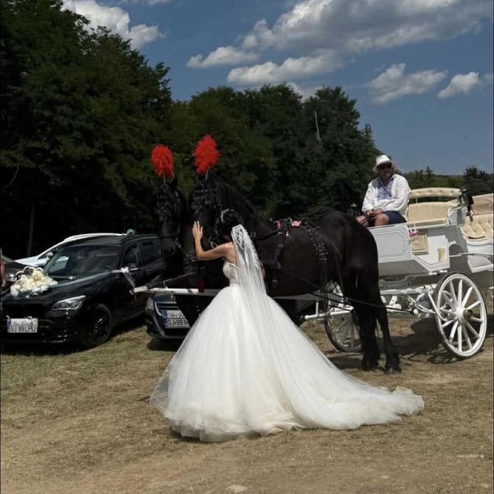 Inchiriez trasura pentru evenimente