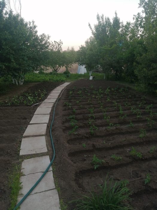 Продам дачу на берегу реки Чаган, район Самал-3.