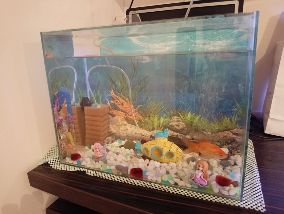 Аквариум 25 литра Действащ