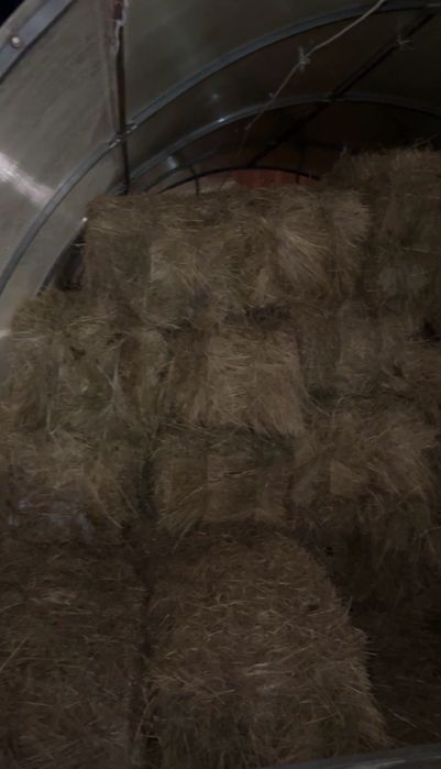 Сено с доставкой. Астана. Косшы.