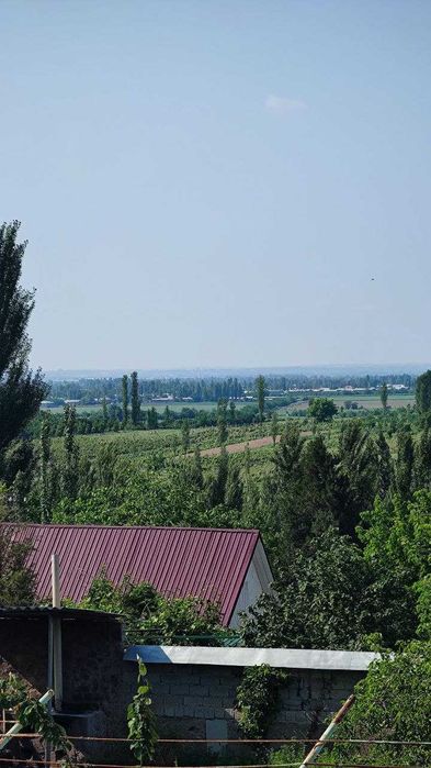 Egasidan 6 sotix Parkent tumani