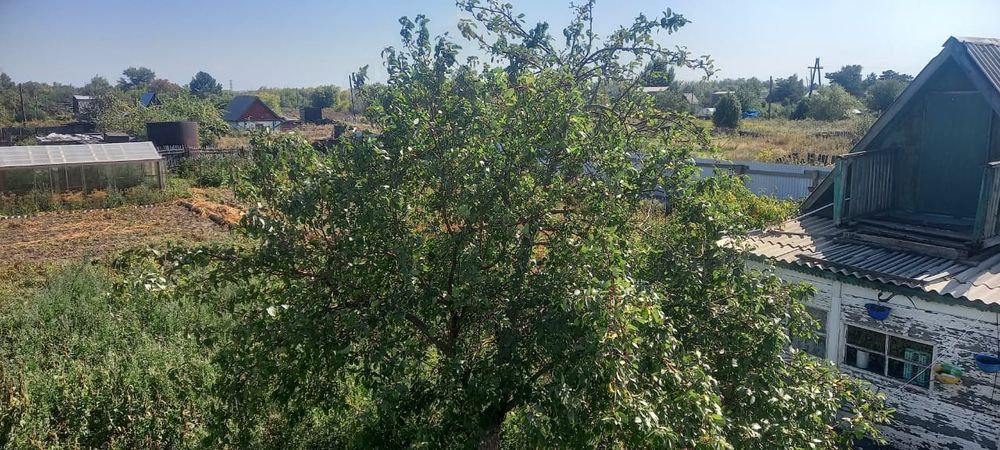 Продаётся Дача. Общество "Ромашка"