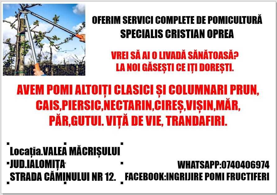 Toaletari pomi fructiferi