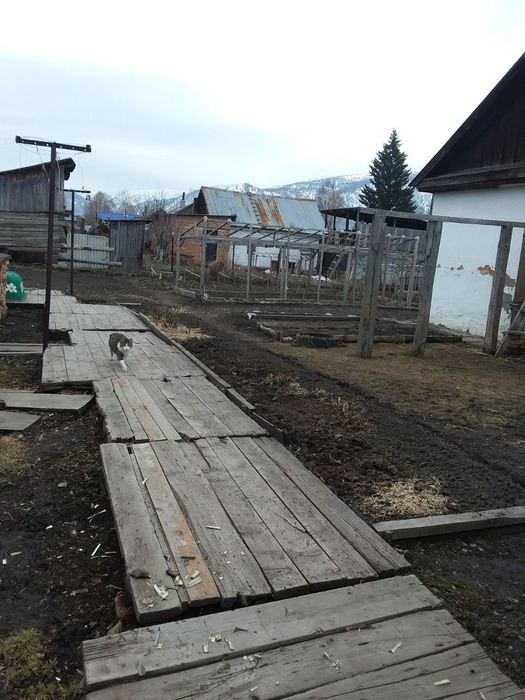 Продам дом или обмен