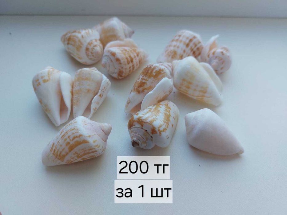 аквариум 20 литров