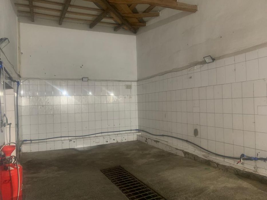 Hală de depozitare la curte – 135 mp + birouri + parcare