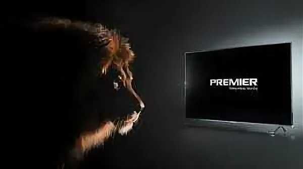 Телевизор Premier платформа Android  склад оптом