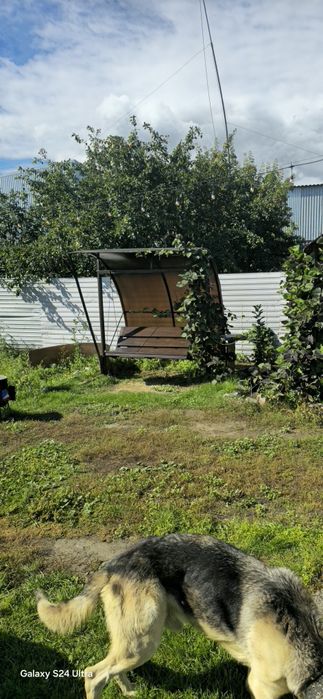 Сдам дом на долгую аренду