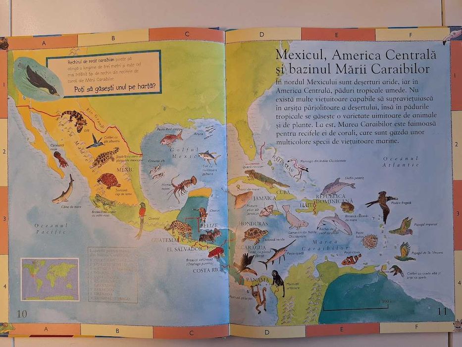 Primul atlas ilustrat - Animale (ed. Corint Junior)