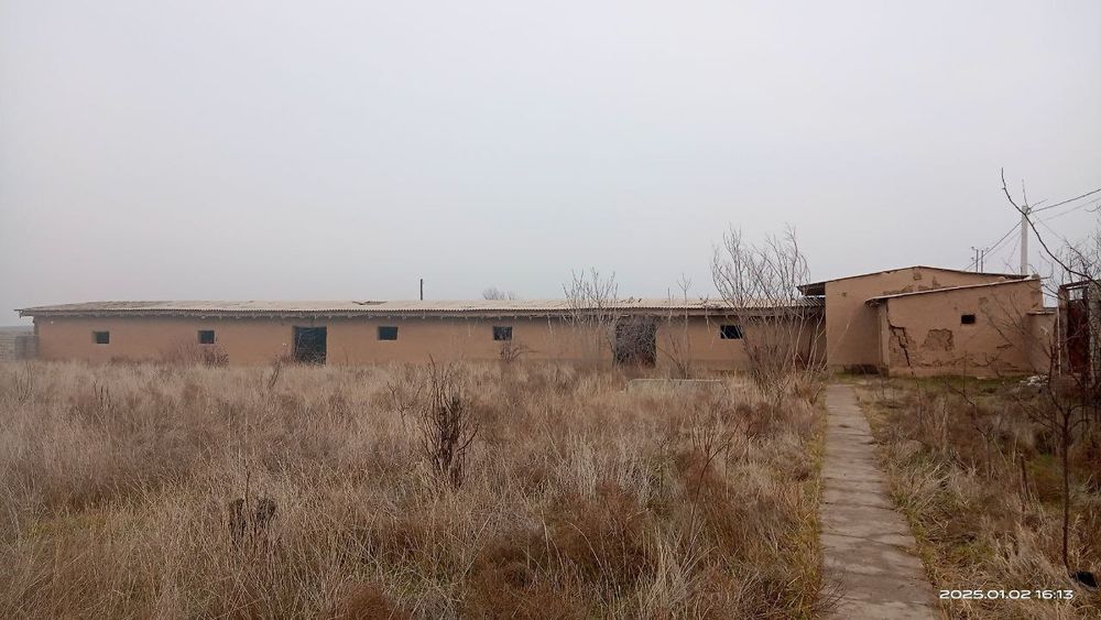 Qashqadaryo viloyati Qamashi tumani