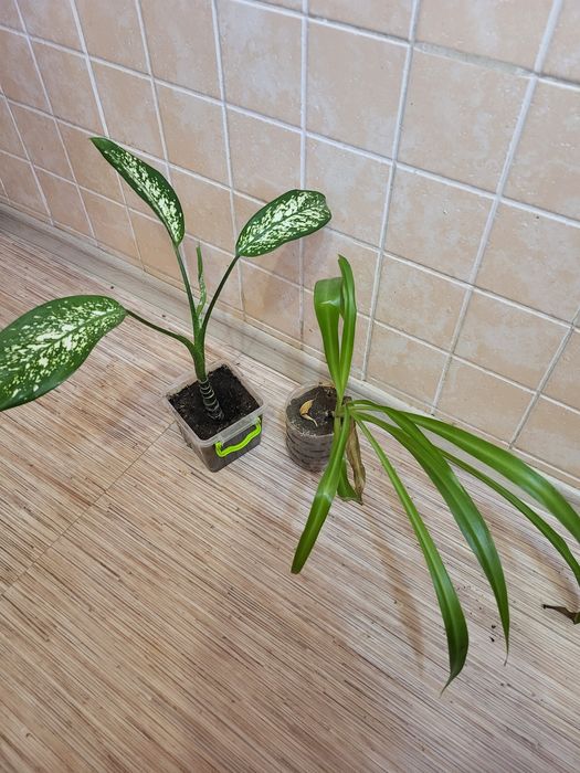 Продам по 350 тенге срочно