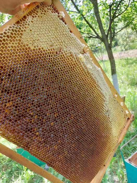 Miere 100% naturala.
Miere de salcâm 35 lei kg 
Miere de tei 30 le