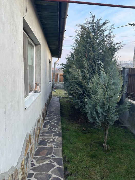 casă de vânzare Luduș, Mureș