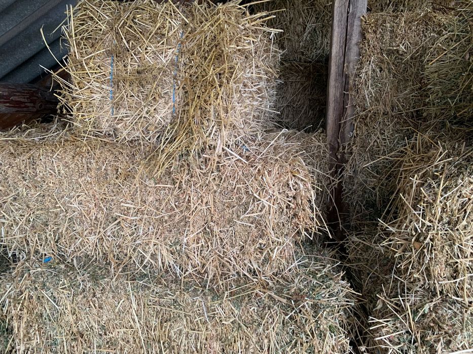 Vand baloti de lucerna si fan