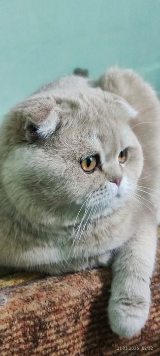 Приглашает на ВЯЗКУ